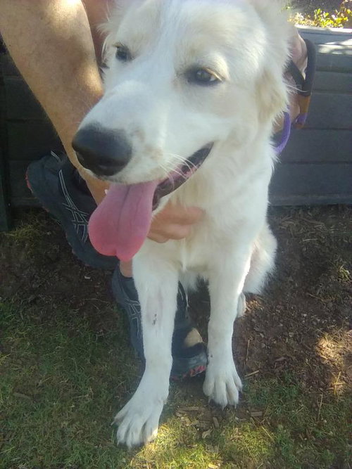 Photo 3 of Amelia