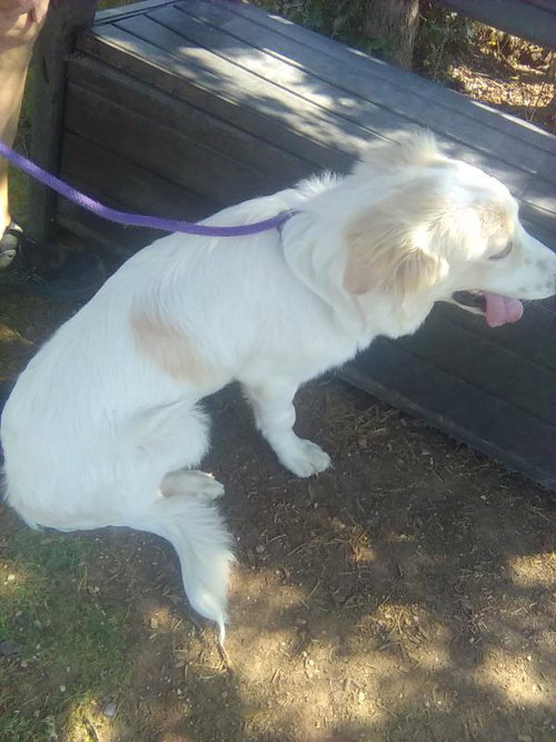 Photo 6 of Amelia