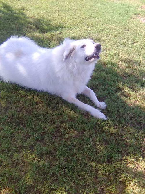 Photo 2 of Sugar
