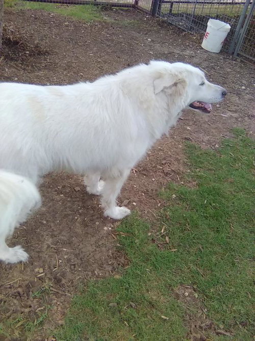 Photo 3 of Sugar