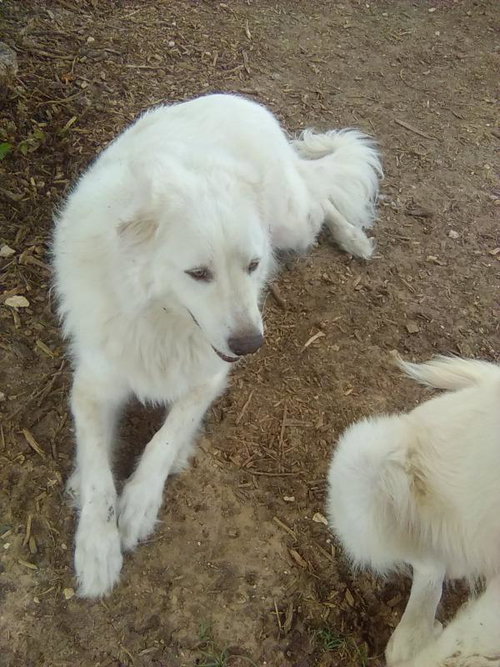 Photo 4 of Sugar