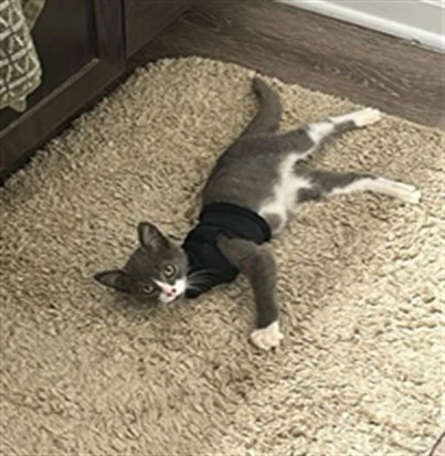 Bumi