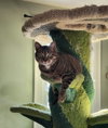 Squeaks - Photo 1