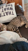 Squeaks - Photo 2