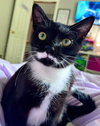 Poe - Photo 1