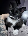 Poe - Photo 2