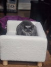 Cinders - Photo 1