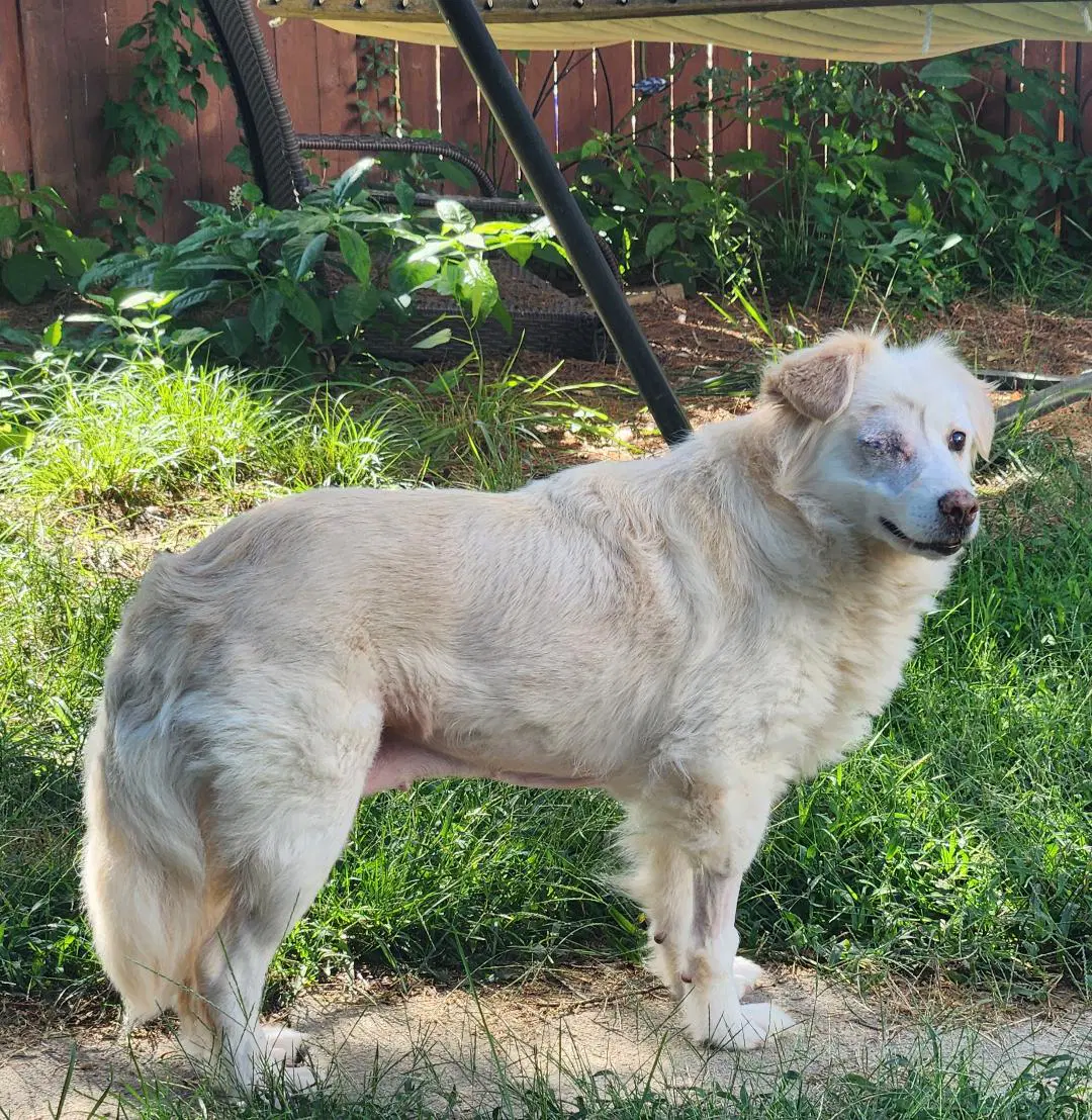Sadie image 3
