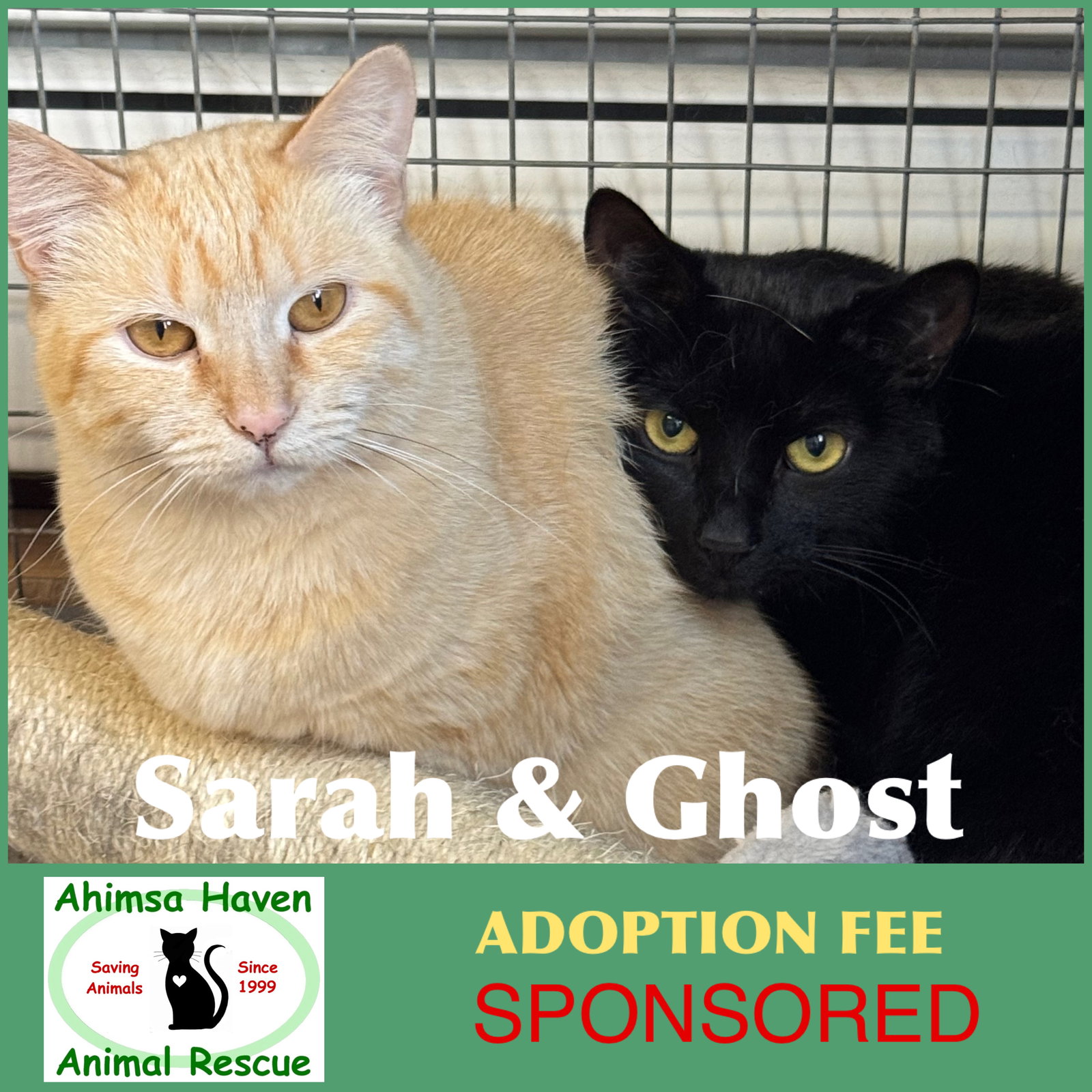 Ghost & Sarah