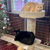 Ghost & Sarah - Photo 2