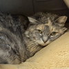 Grace - Photo 3