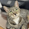 Paws & Trixie - Photo 4