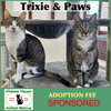 Paws & Trixie - Photo 1