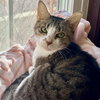Paws & Trixie - Photo 2