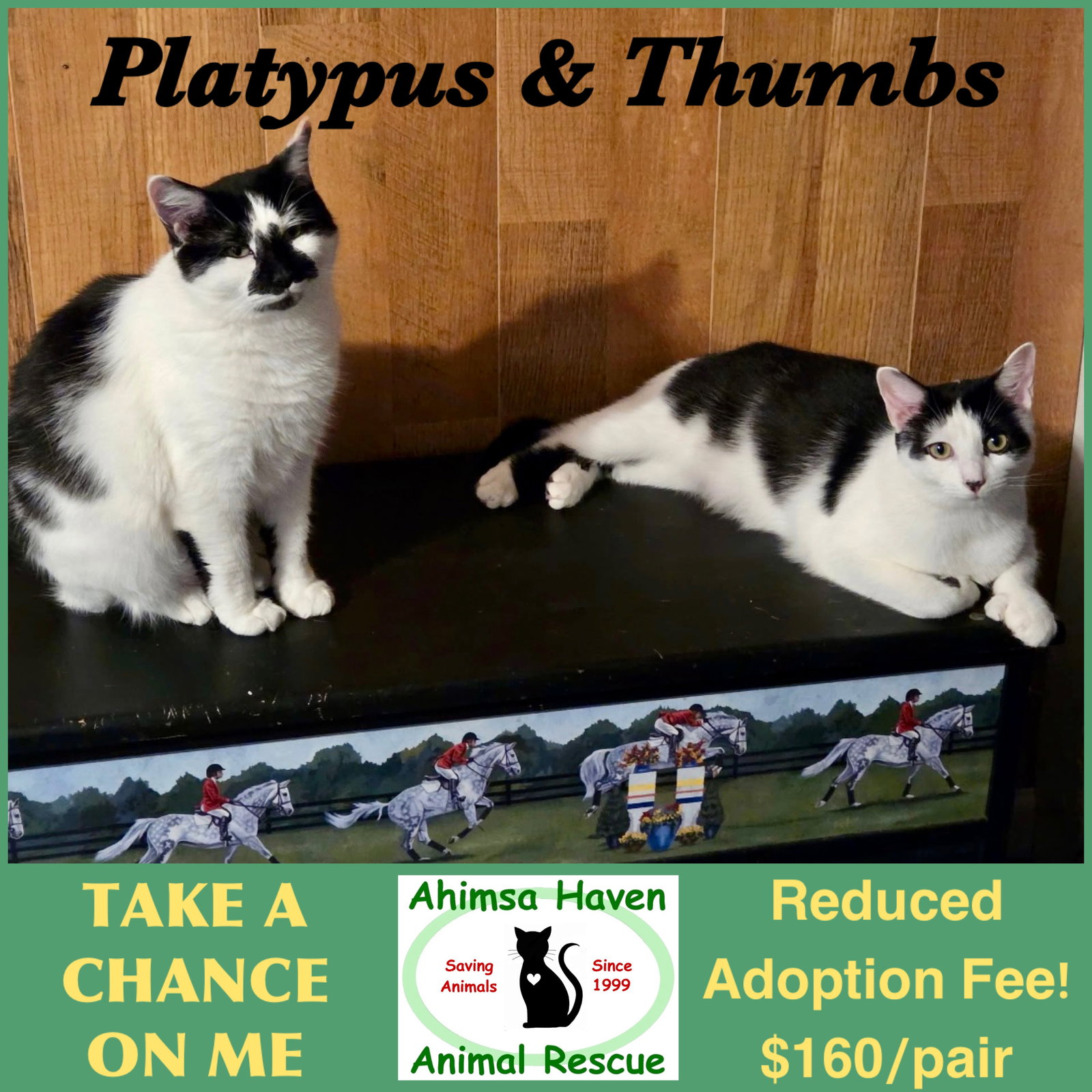 Thumbs & Platypus