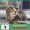 Princess - Photo 1