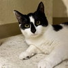 Maxie - Photo 1