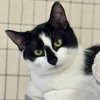 Maxie - Photo 3