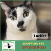 Lucifer - Photo 1