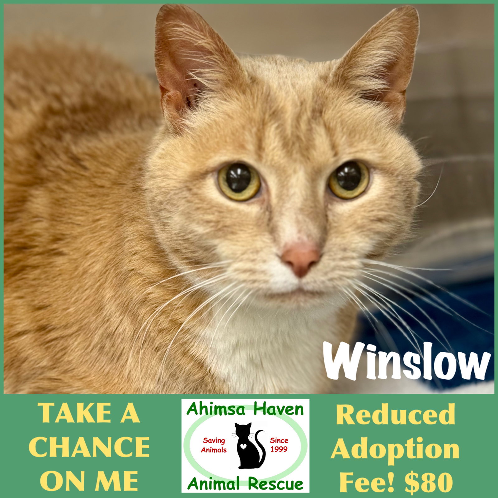Winslow