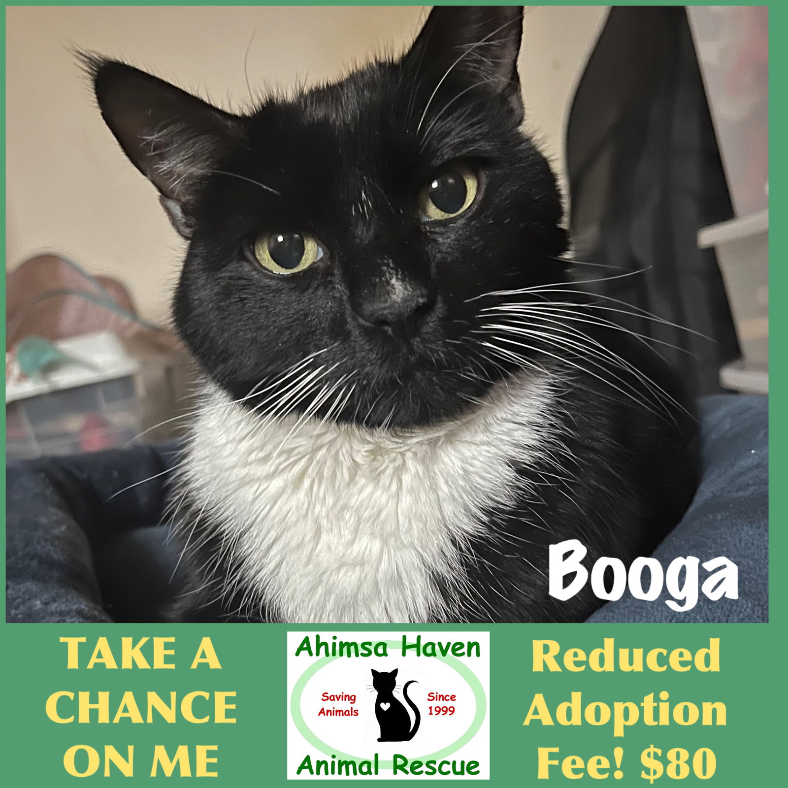 Booga