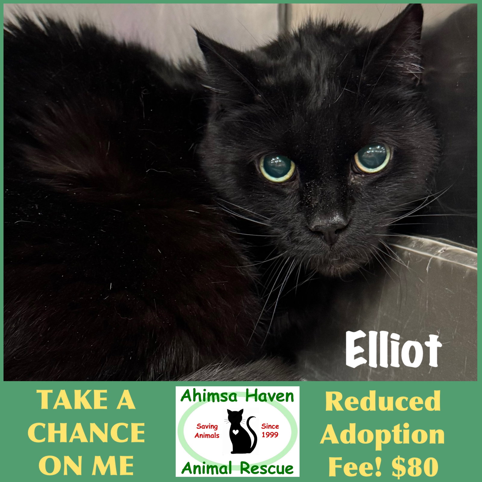 Elliot Image