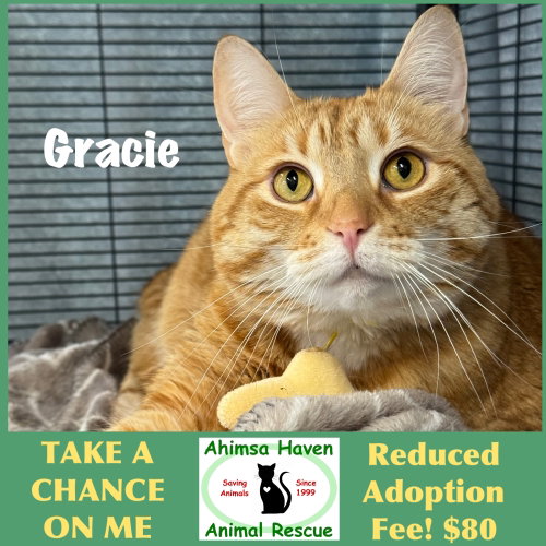 Gracie