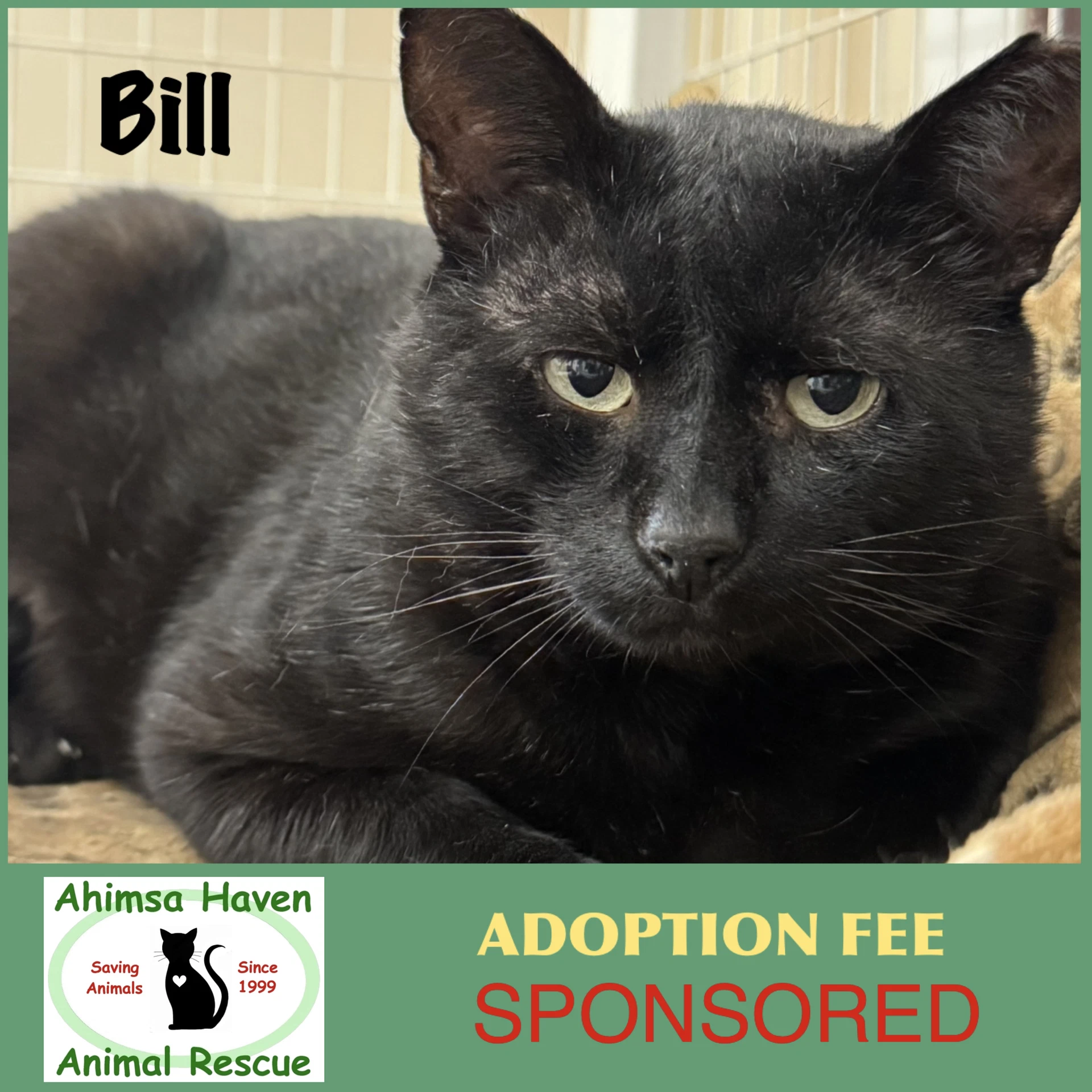 Bill