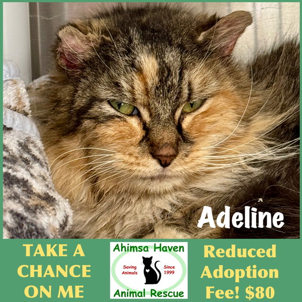 Adeline