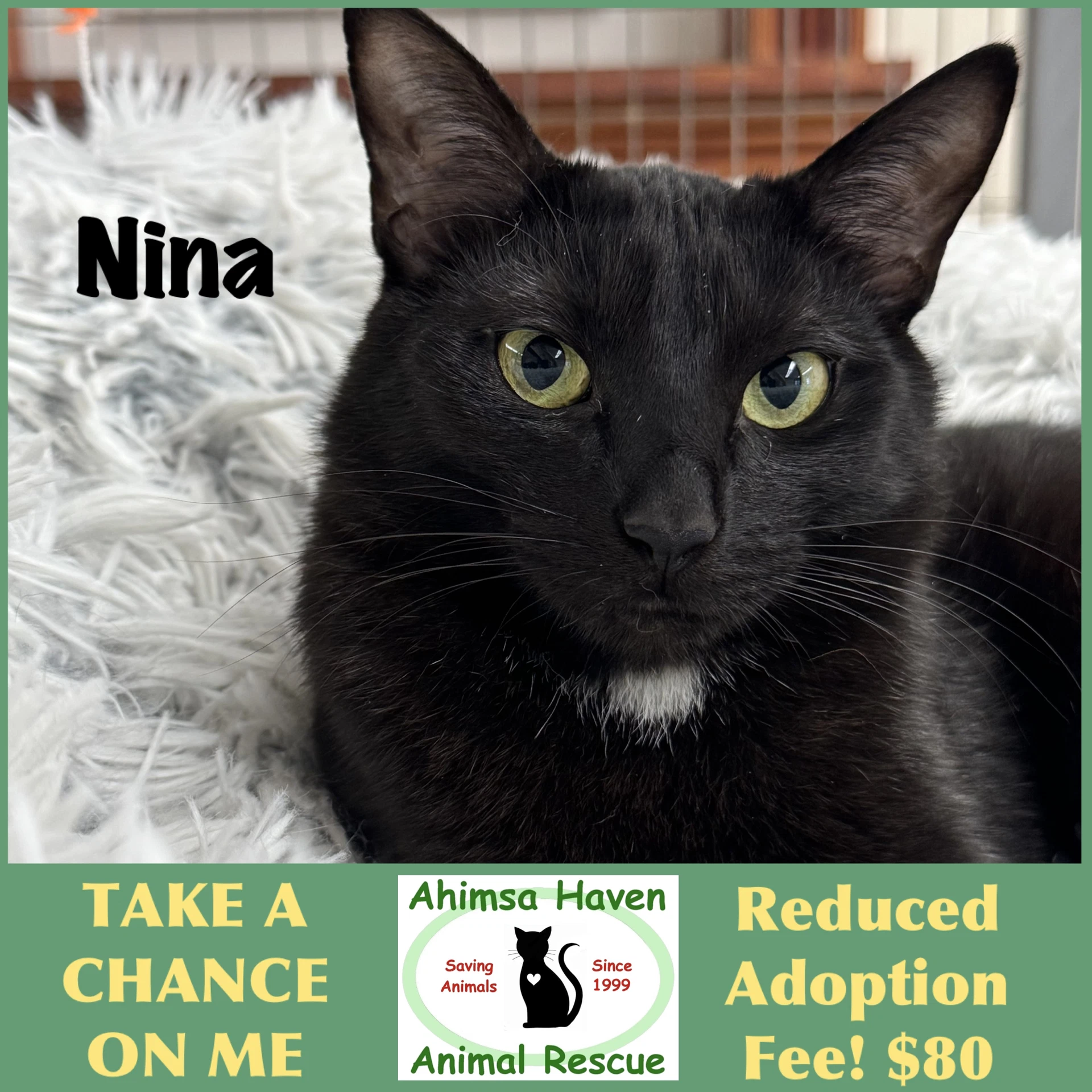 Nina