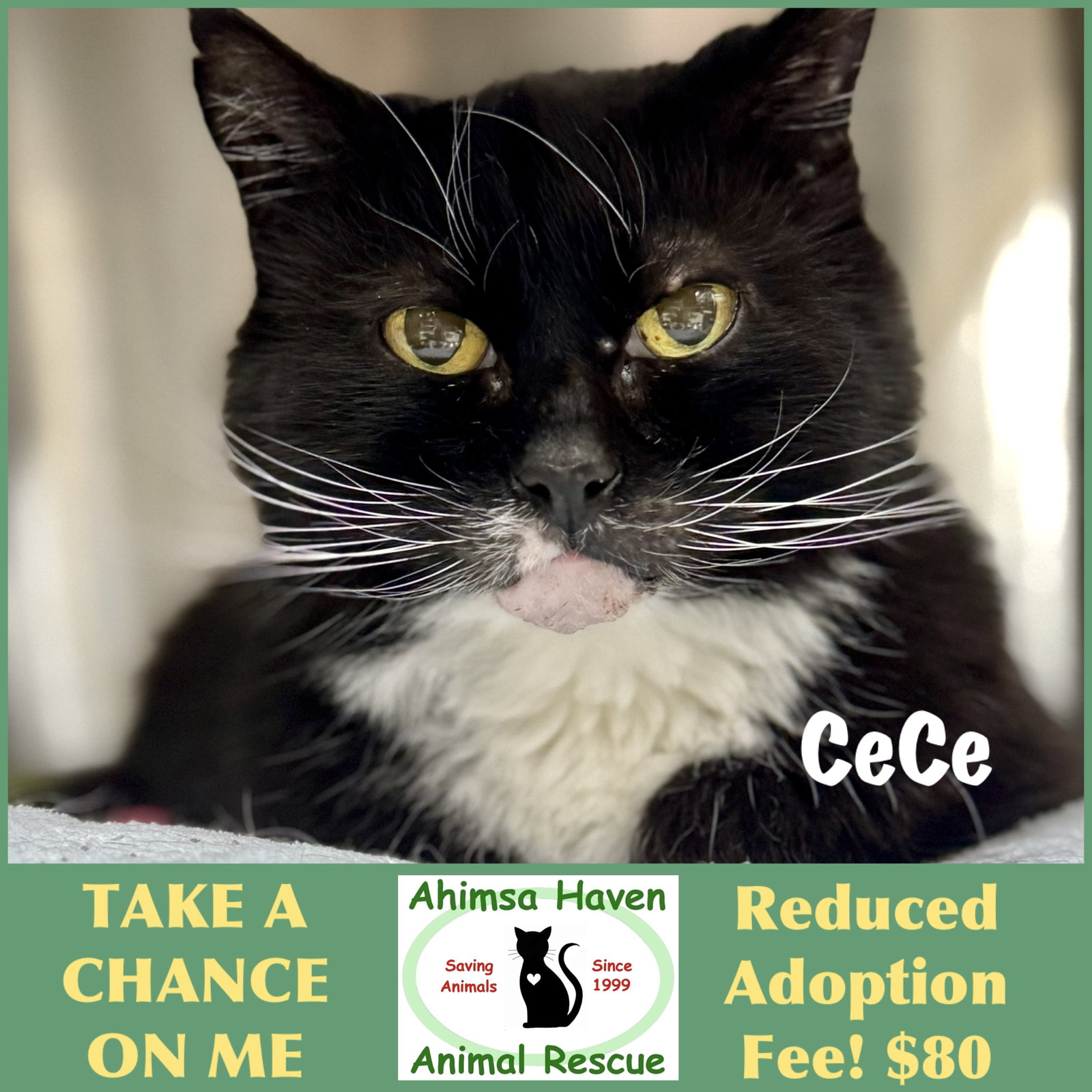CeCe