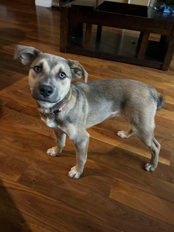 Ella