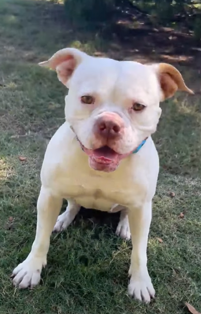 Coco