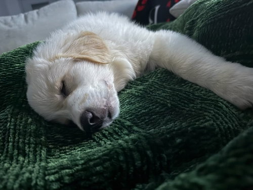 Freya photo 2