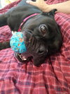 Bug - Photo 4