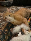Clawed - Photo 2