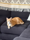 Clawed - Photo 3