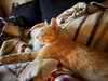 Clawed - Photo 4