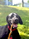 Eddie - Photo 1