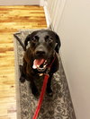 Eddie - Photo 2