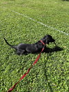 Eddie - Photo 3