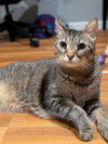 Leroy - Photo 1