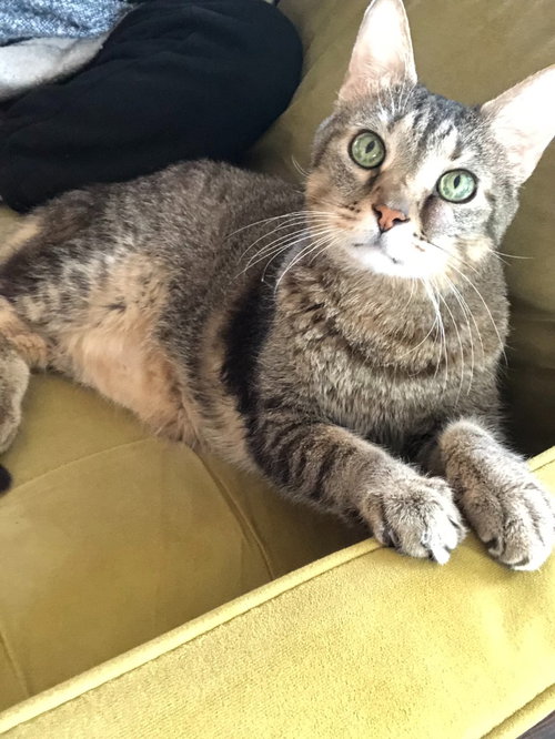 Leroy