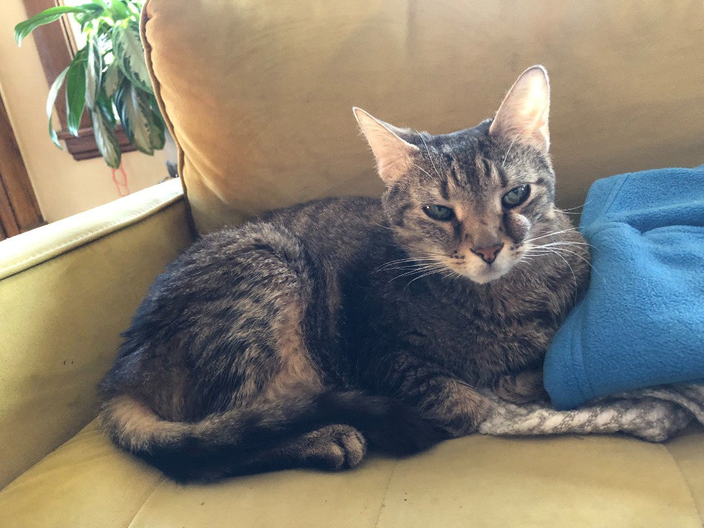 Leroy, photo 4