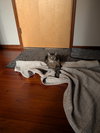 Miss Tilly - Photo 2