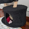 Miss Tilly - Photo 3