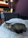 Miss Tilly - Photo 4