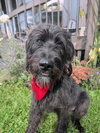 Skye - Photo 1