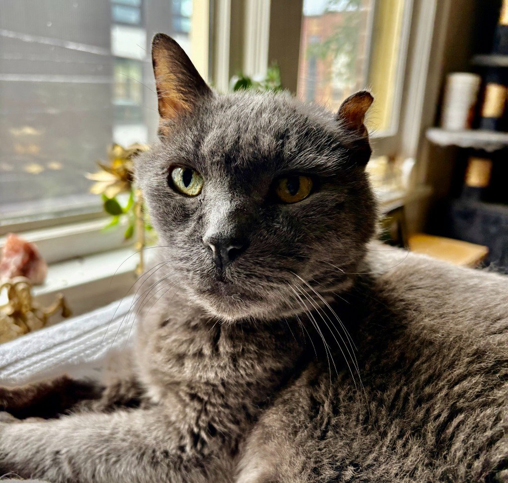 Smokey Joe, photo 4