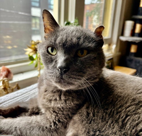 Photo 4 of Smokey Joe